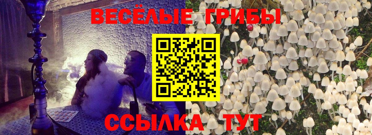 Псилоцибиновые грибы прущие грибы Обь