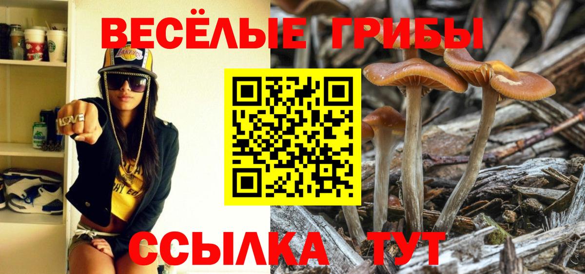 Псилоцибиновые грибы мицелий  Вход с VPN  Обь 